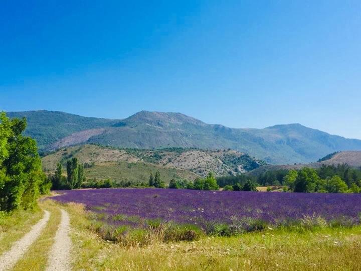 Le Moulin De La Viorne, Gite Avec Piscine Au Coeur De La Nature En Haute-Provence Les Omergues Luaran gambar