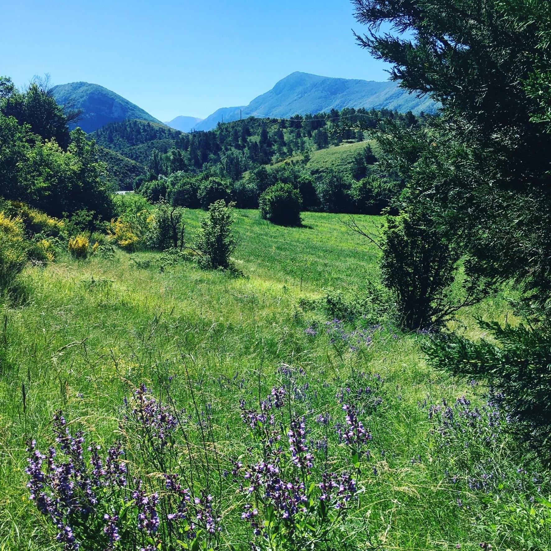Le Moulin De La Viorne, Gite Avec Piscine Au Coeur De La Nature En Haute-Provence Les Omergues Luaran gambar