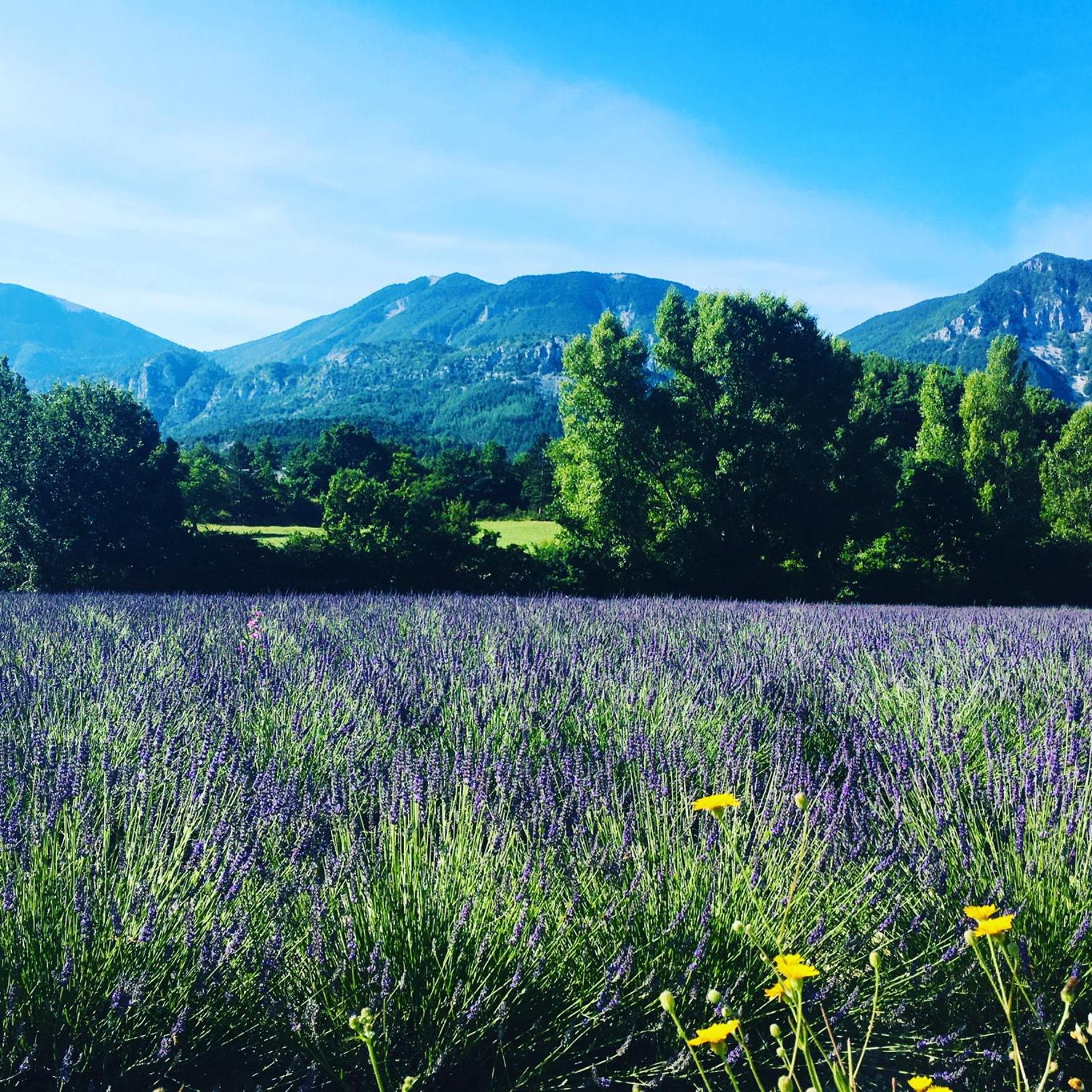 Le Moulin De La Viorne, Gite Avec Piscine Au Coeur De La Nature En Haute-Provence Les Omergues Luaran gambar