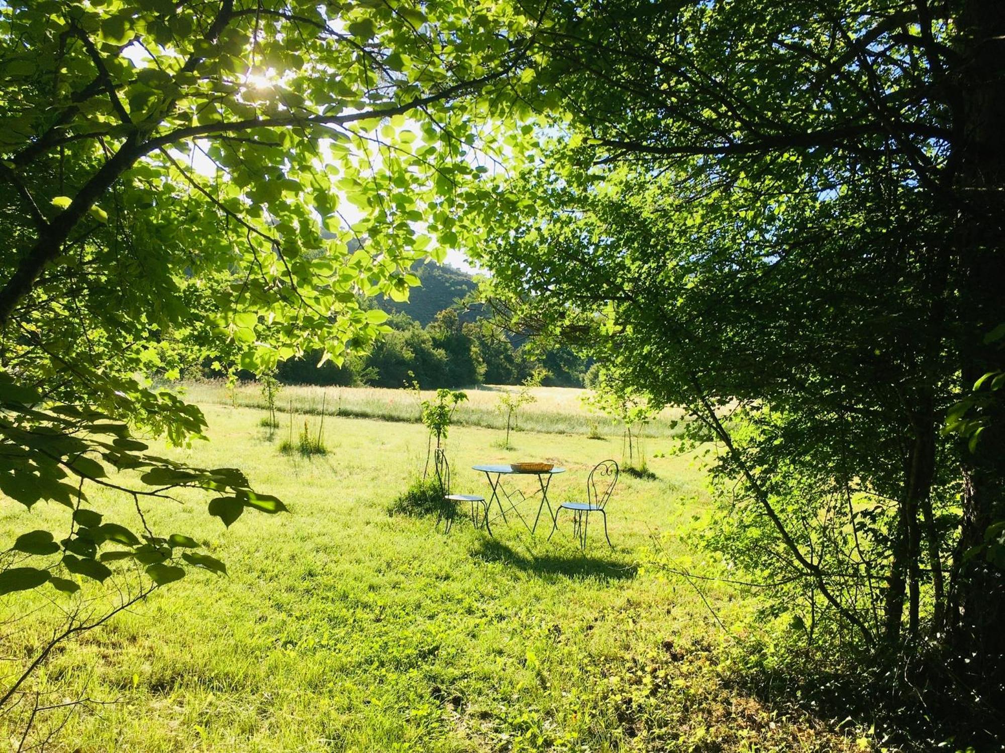 Le Moulin De La Viorne, Gite Avec Piscine Au Coeur De La Nature En Haute-Provence Les Omergues Luaran gambar