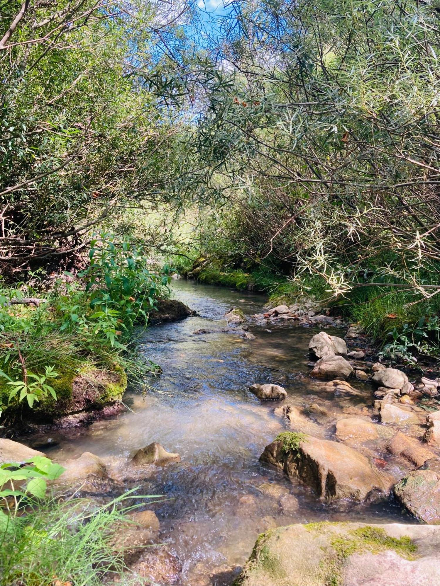Le Moulin De La Viorne, Gite Avec Piscine Au Coeur De La Nature En Haute-Provence Les Omergues Luaran gambar